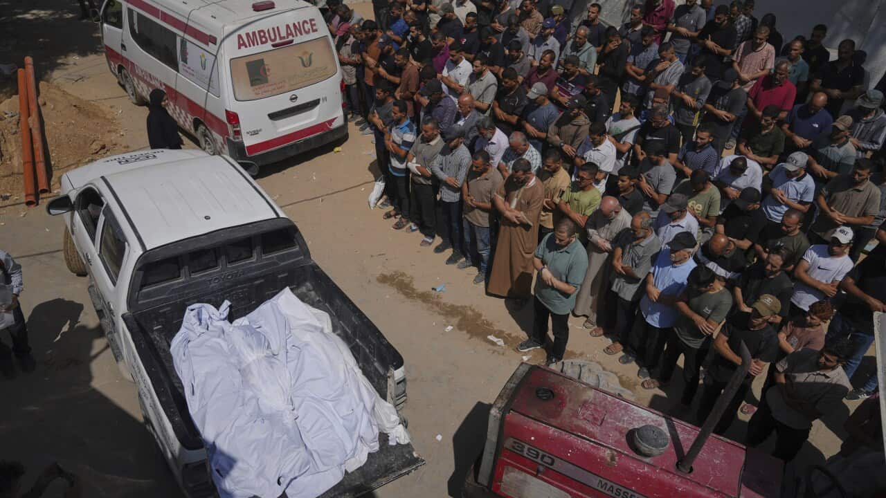 UN says 875 Palestinians killed seeking food in recent weeks, most at US-Israeli backed sites UN says 875 Palestinians killed seeking food in recent weeks, most at US-Israeli backed sites
