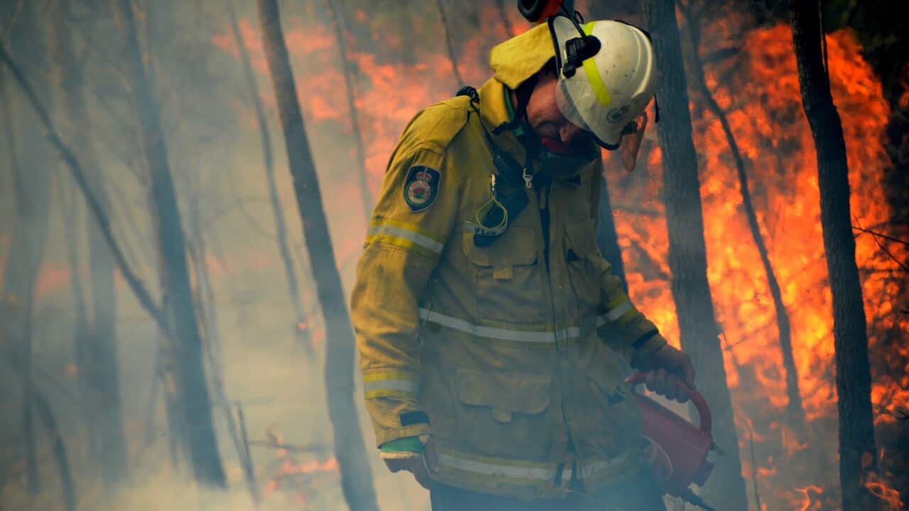 NSW Rural Fire fighters establish a backburn in Mangrove Mountain, NSW in early December 2019. (AAP Image/Jeremy Piper) NO ARCHIVING