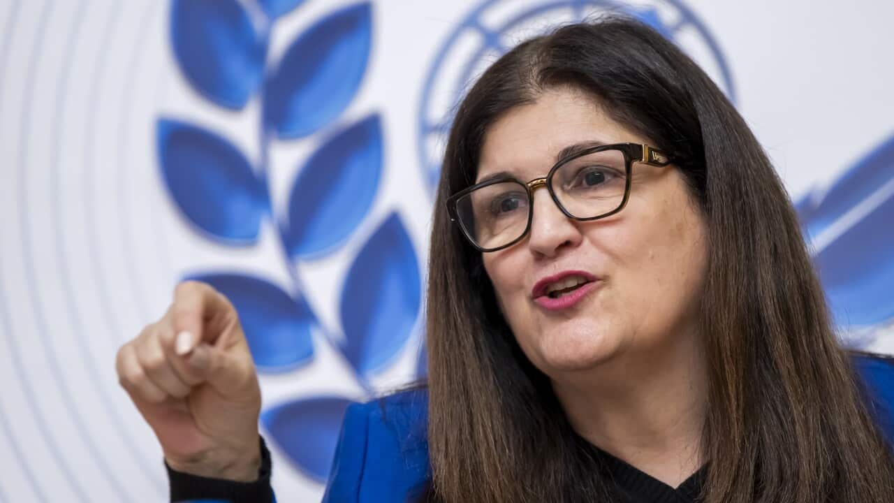 Palestine's Minister of State for Foreign Affairs and Expatriates Varsen Aghabekian press conference in Geneva