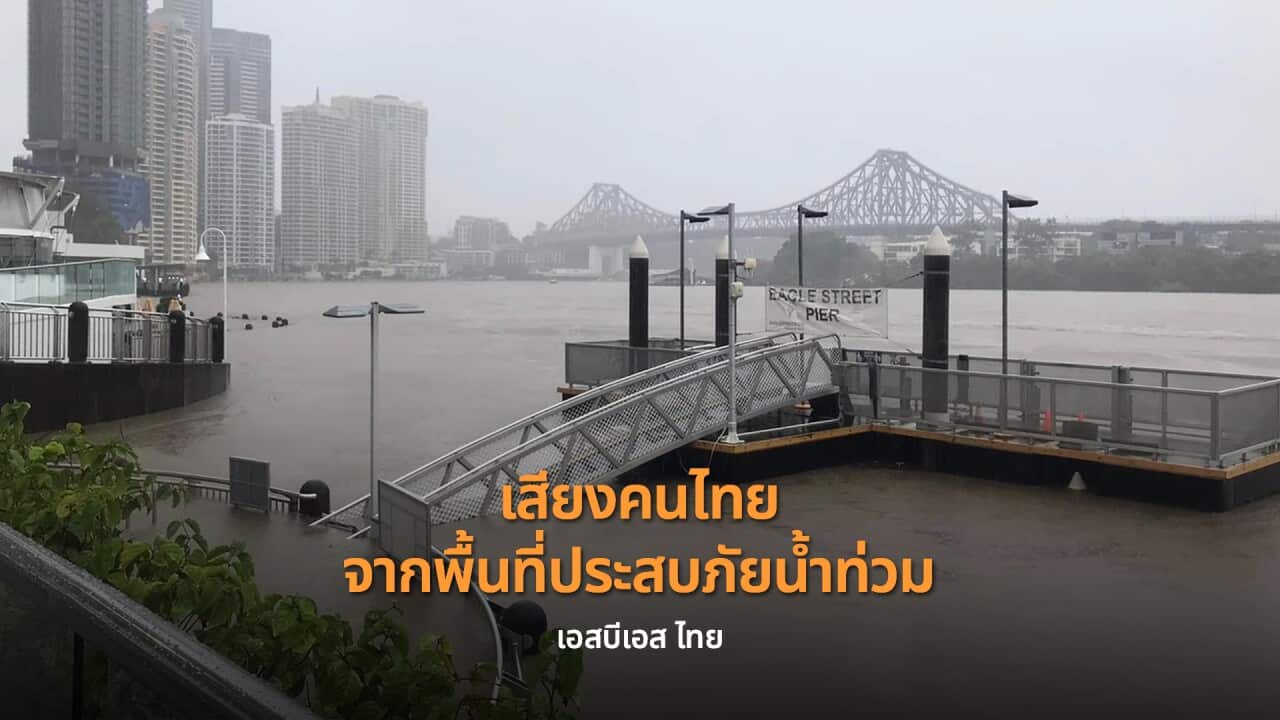 Image for read more article 'เรื่องราวอื่น ๆ ที่น่าสนใจจาก เอสบีเอส ไทย'