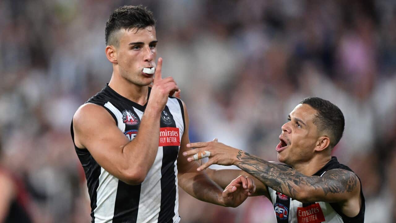 AFL MAGPIES BOMBERS