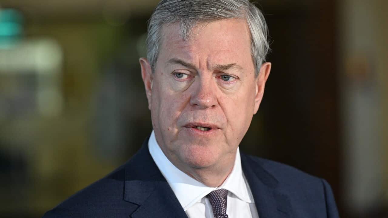 TIM NICHOLLS PRESSER