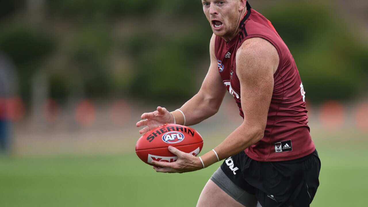 Senior Essendon player Brendon Goddard