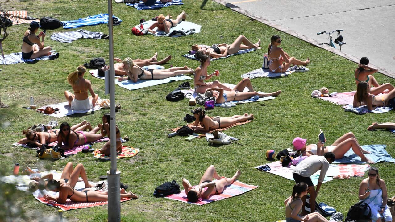Image for read more article 'READ MORE'