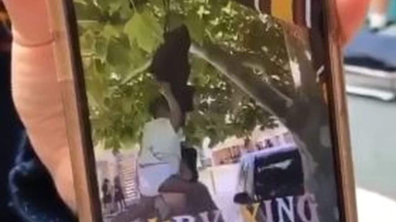 The video posted to Snapchat shows students laughing as the doll is hung from a tree.