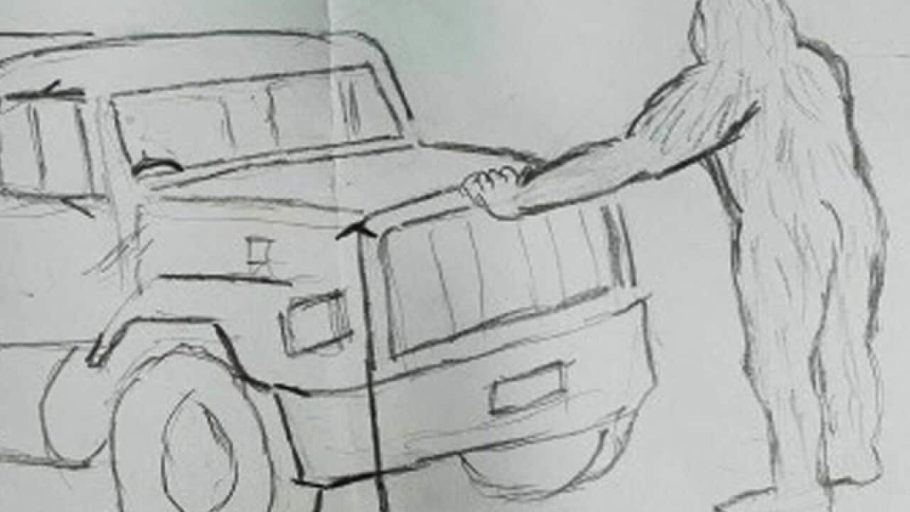 A sketch of a 10-foot tall 'yowie'