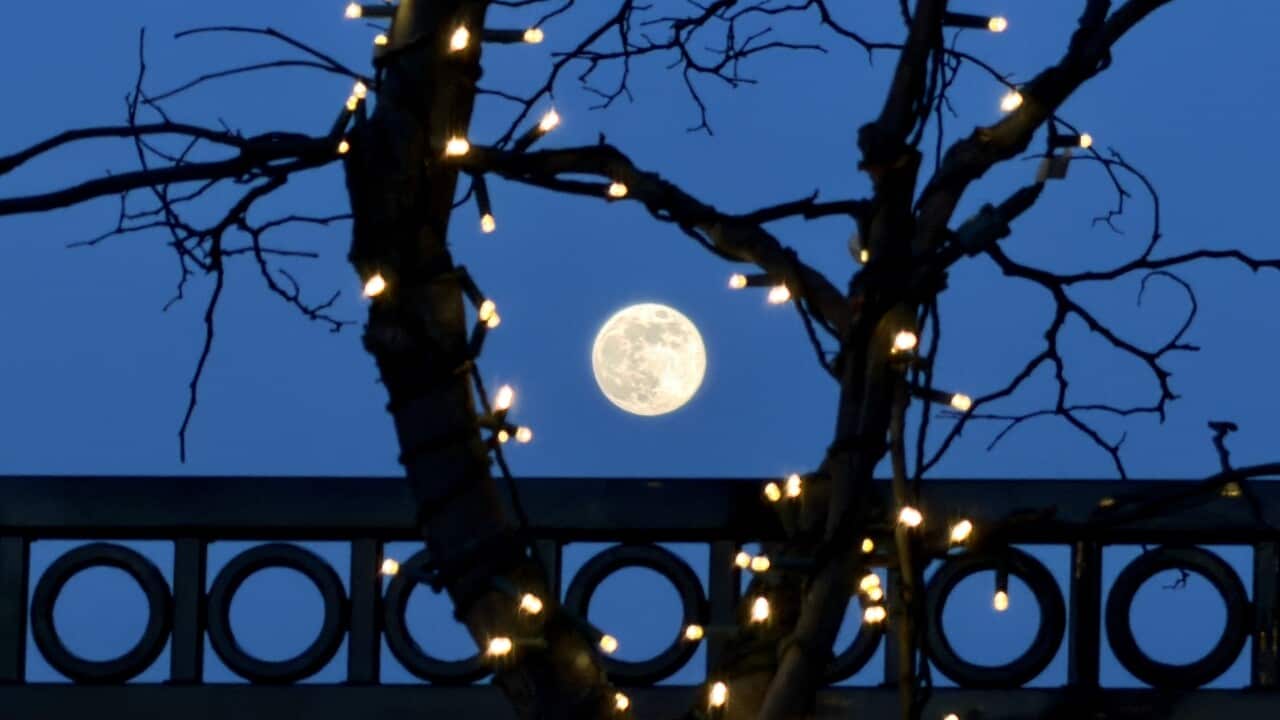 A full moon framed by bare tree branches wrapped in fairy lights against a deep blue night sky.