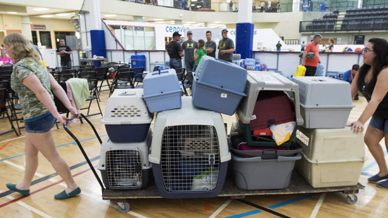 Volunteers cart a stack of donated pet cages, for pets of evacuees