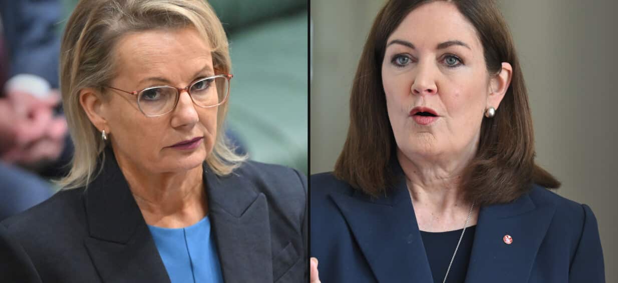 Sussan Ley needs a 'miracle', Liberal senator says, refusing to back her leadership