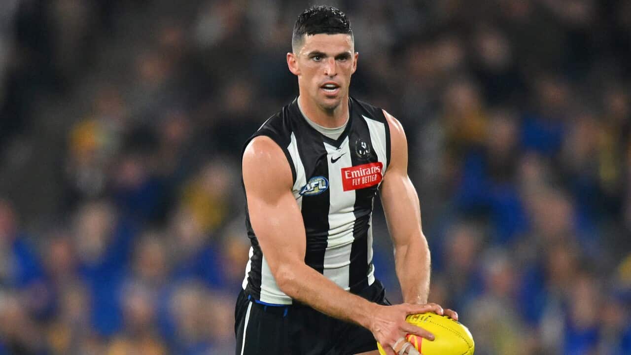 AFL MAGPIES EAGLES