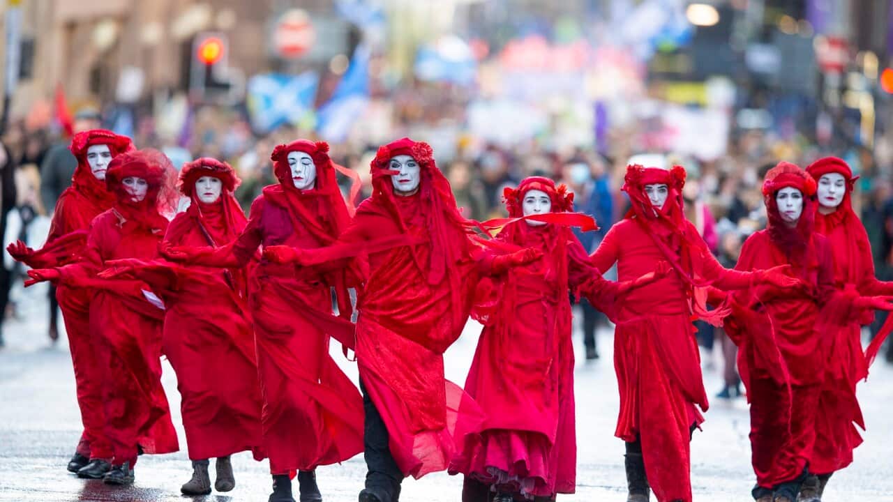 Editorial collection ahead of UN Climate Change Conference COP30