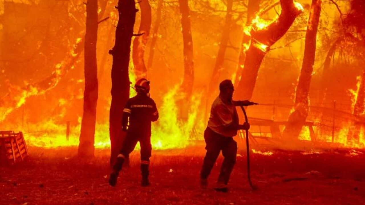 Bushfires