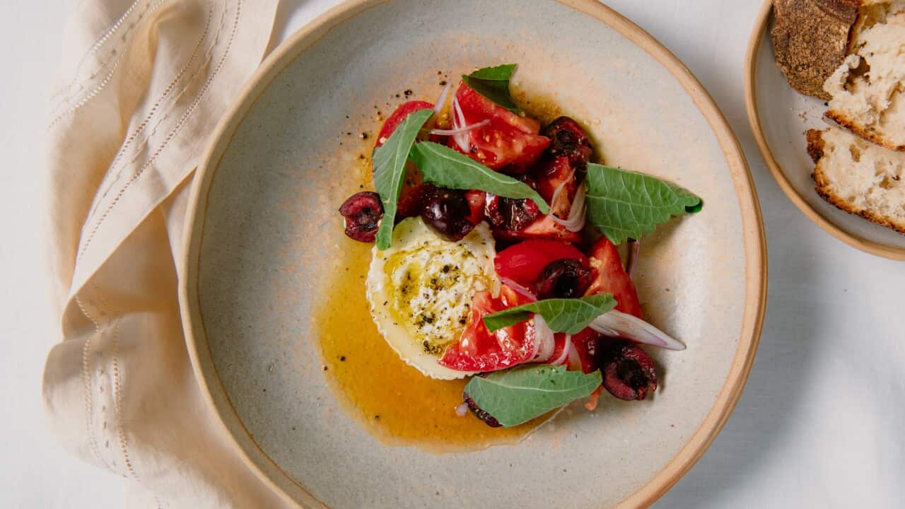 Summertime chèvre chaud with tomato & perilla salad