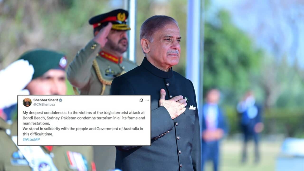 PM Shehbaz Sharif expressed his condolences to the victims of the tragic attack at Bondi Beach.jpg