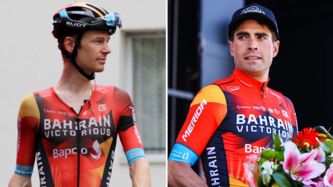 Image for read more article 'READ MORE'