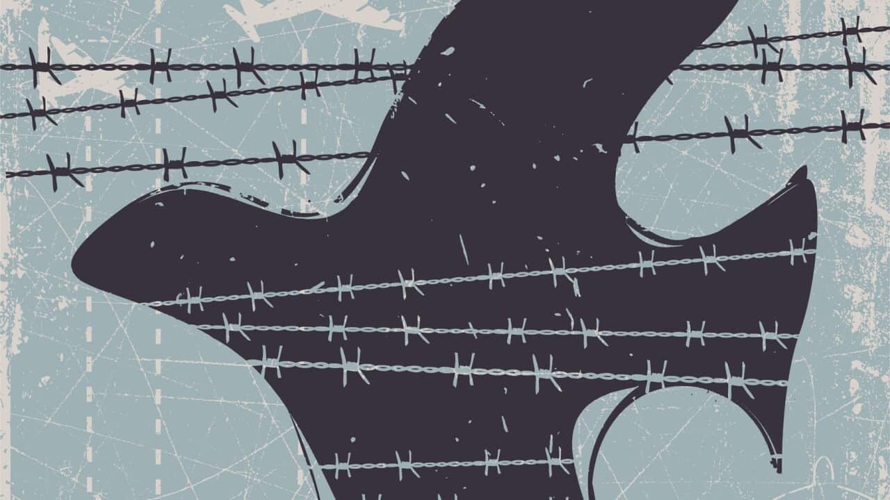 Dove caught between spikes