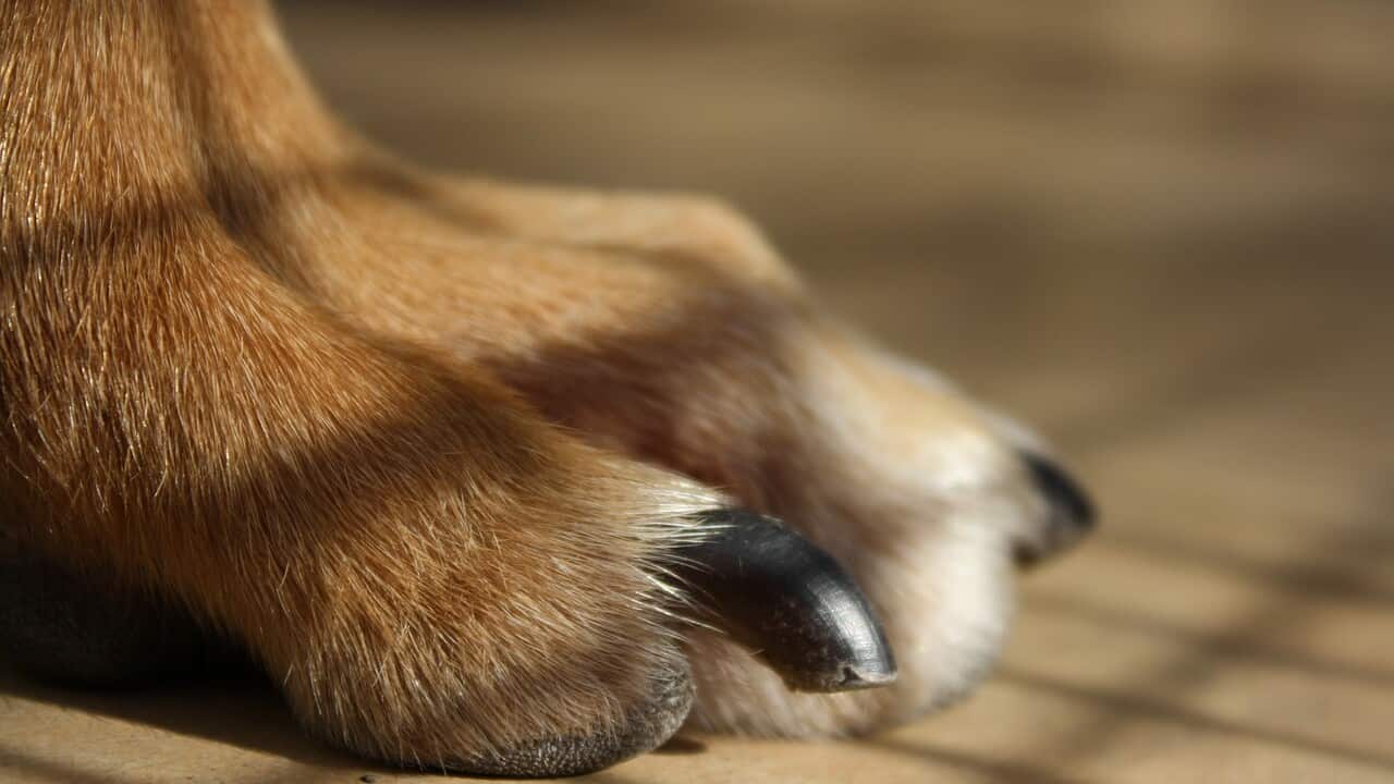 Image for read more article ''