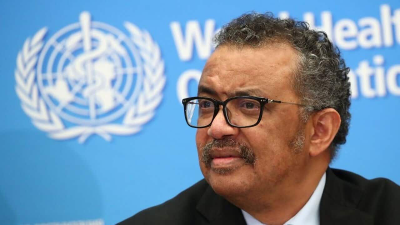 WHO news conference on the novel coronavirus (COVID-2019)