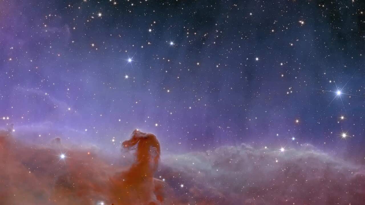Stunning First Full-Colour Images From Euclid Telescope