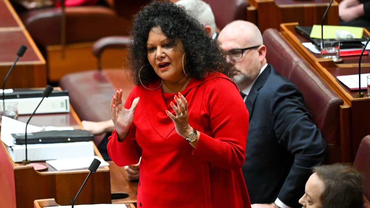 SENATE VOICE DEBATE
