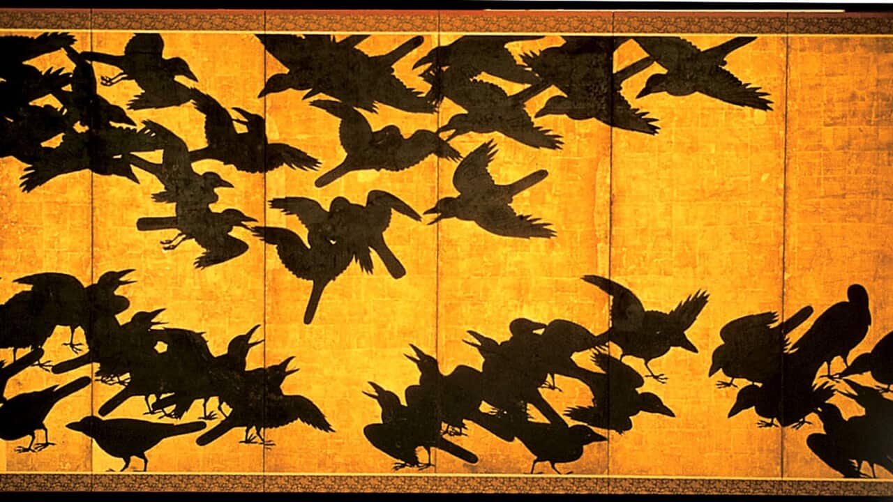 "Flocking Crows"