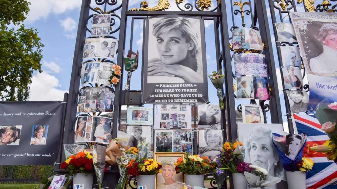 Image for read more article 'Mira también:'