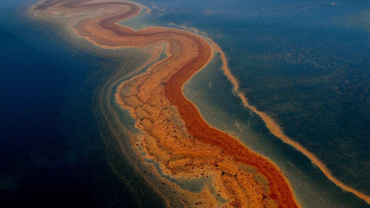 Oil from BP spill on ocean floor display picture 3