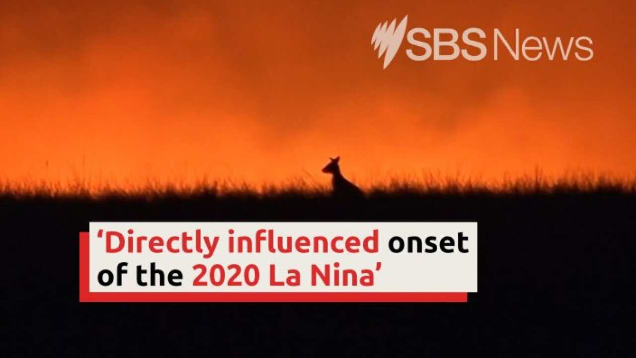 The 2019 Australian Bushfires May Have Influenced Onset Of 2020 La Niña