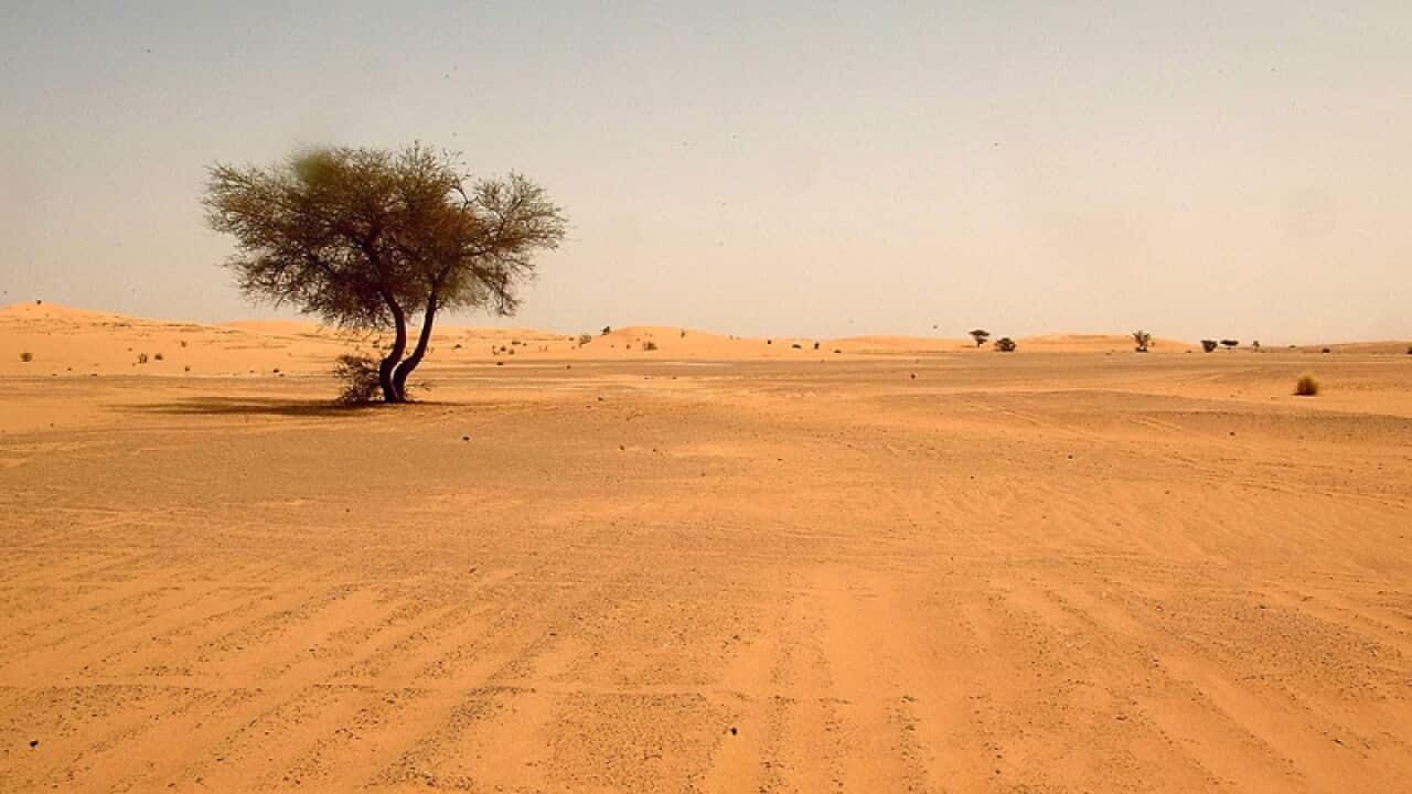 The Saharan desert in southern Algeria
