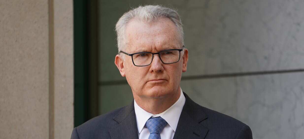No advice from ASIO to block passports of women with alleged IS links, Burke says