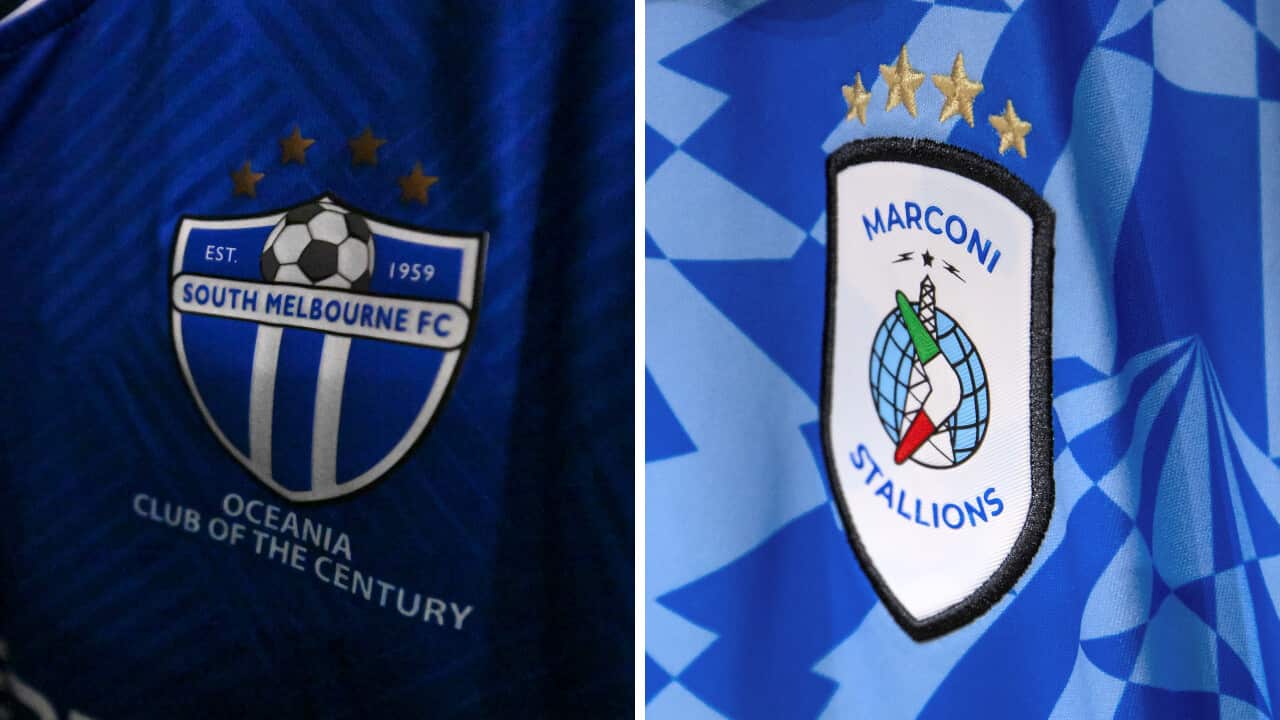 Untitled design (5).png