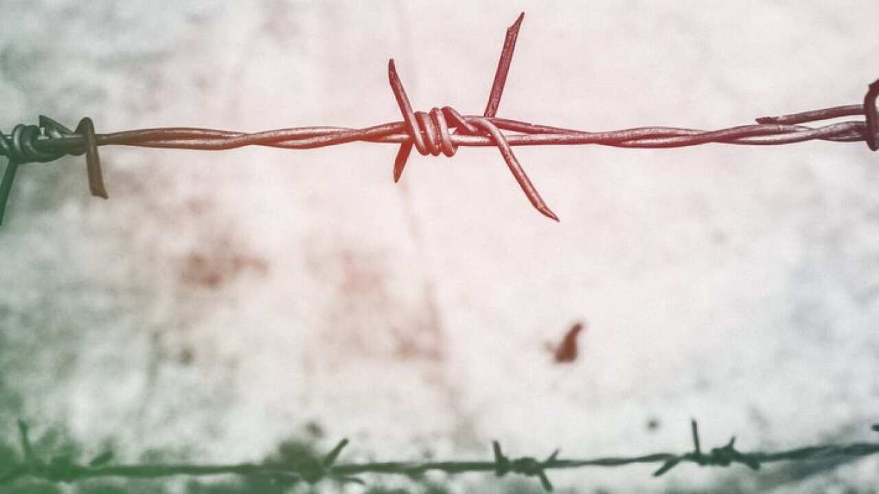 Barbed wire