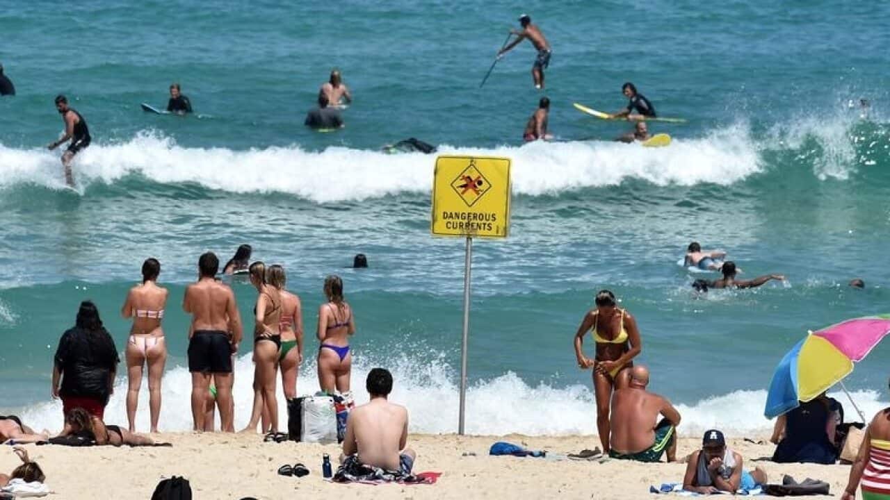 Beachgoers and surfers are seen at Bondi Beach (file image)