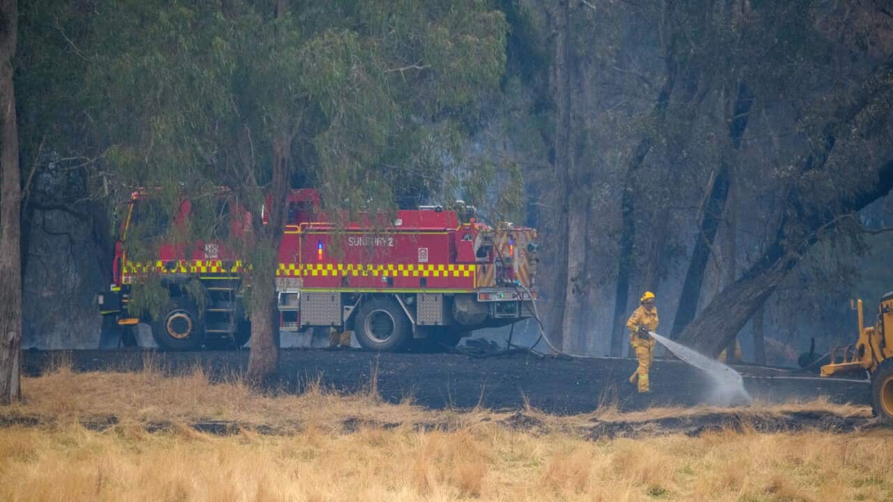 VICTORIA BUSHFIRES