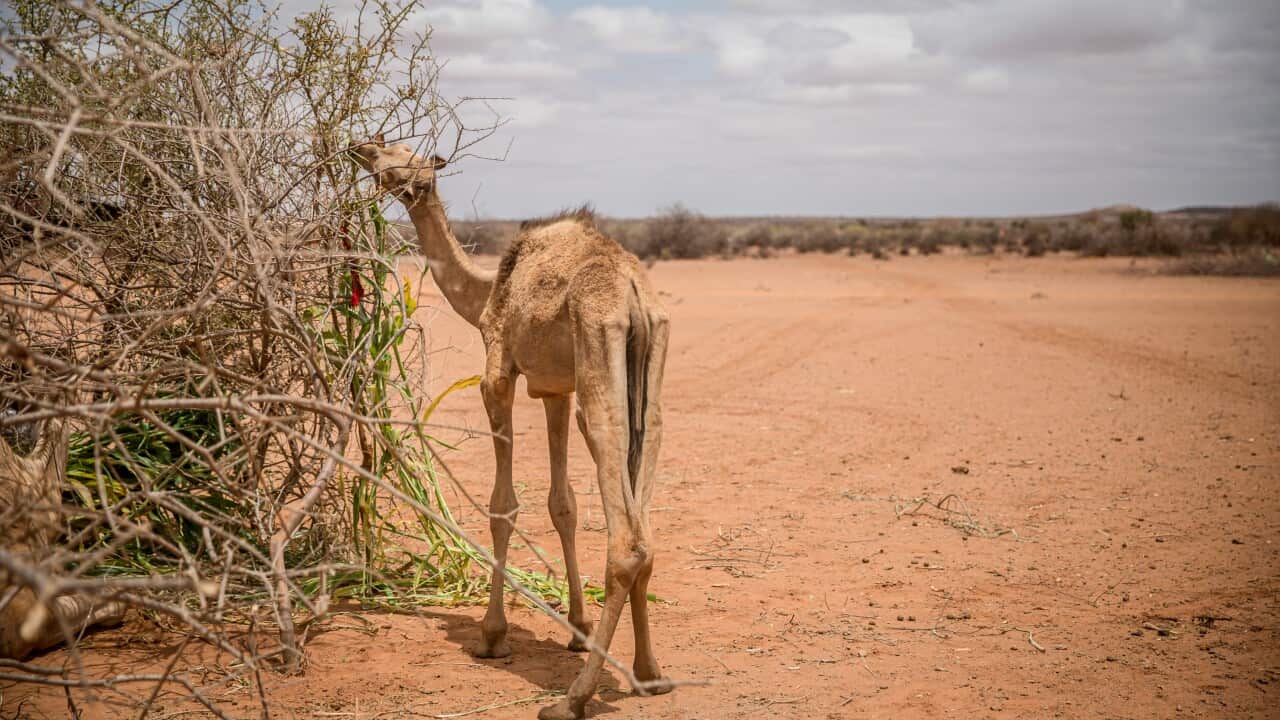 Image for read more article 'READ MORE'