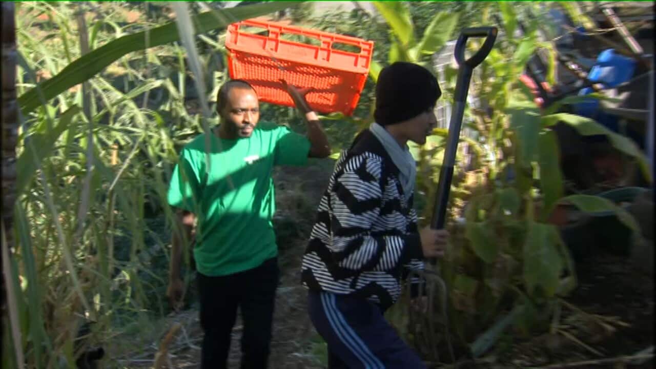 Migrant workers in regional Australia.