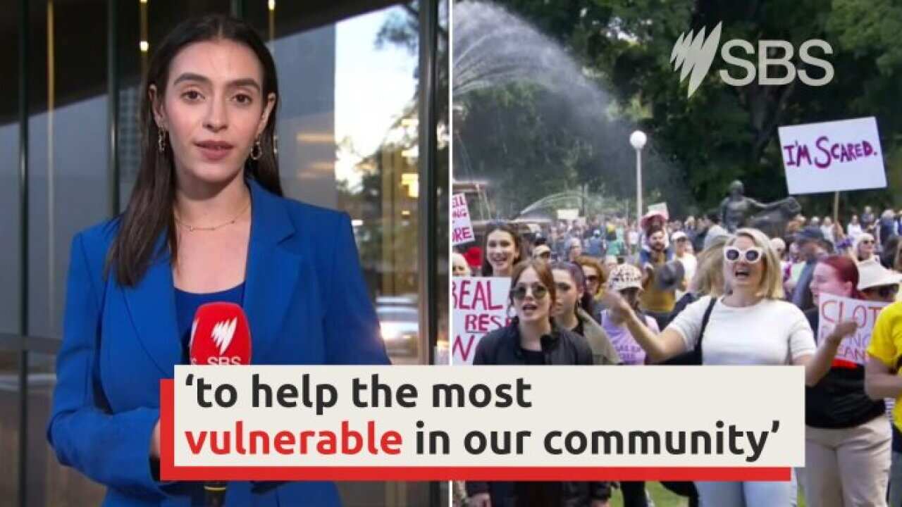 NSW Emergency Domestic Violence Package Unveiled I SBS News | SBS News