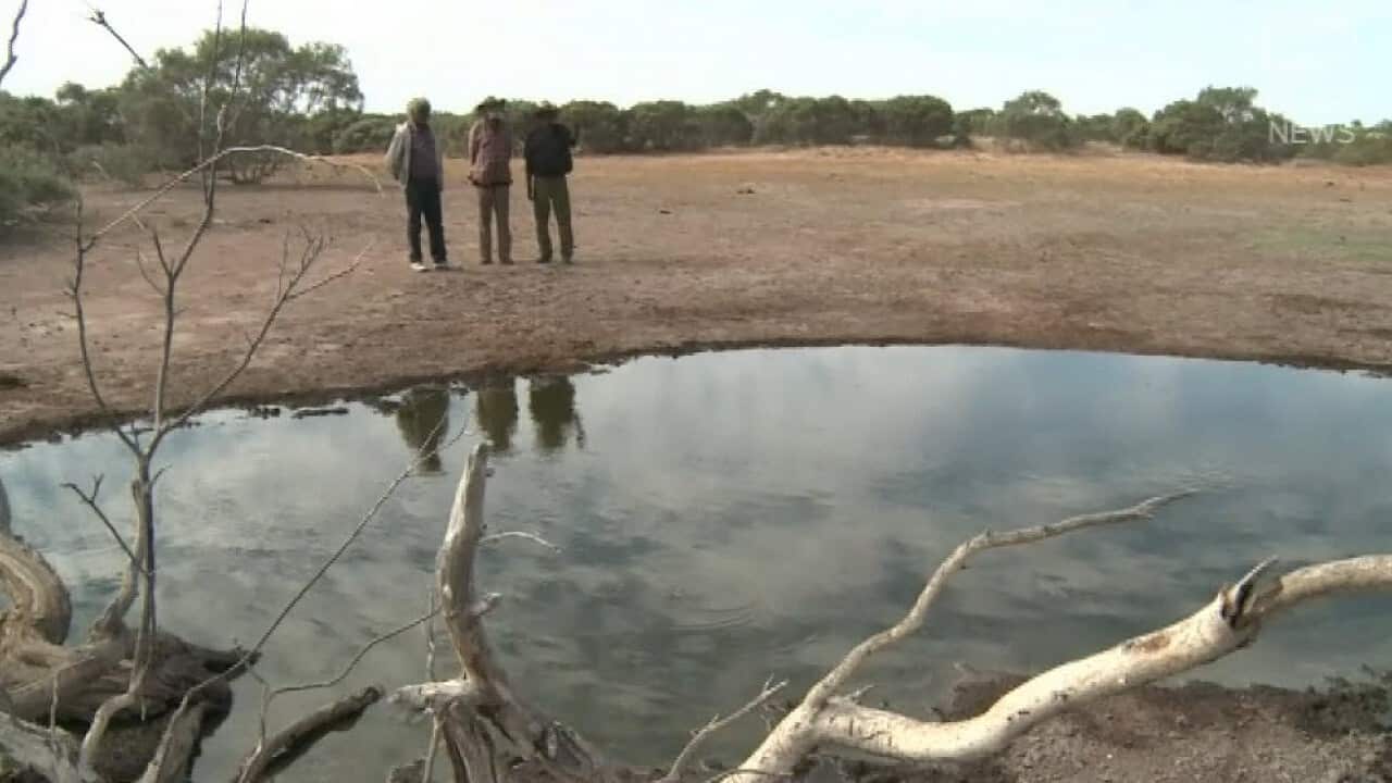 Image for read more article 'READ MORE'