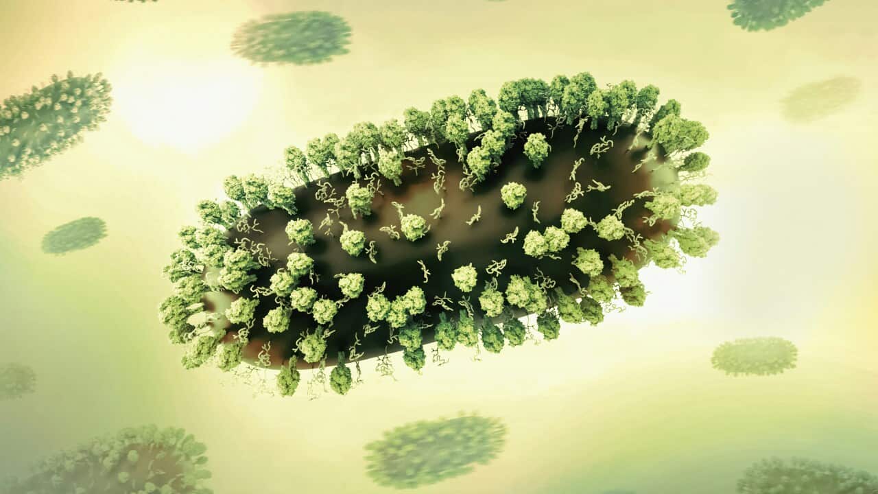 Image for read more article 'READ MORE'