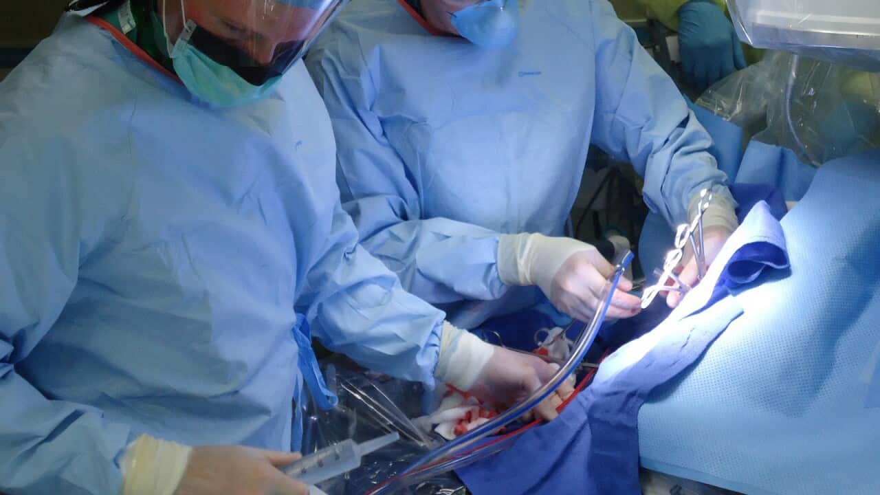 Image for read more article ''