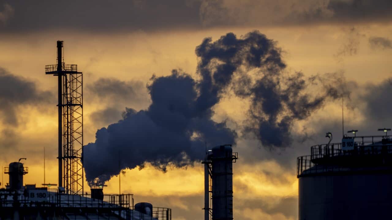 Germany COP27 Climate Summit