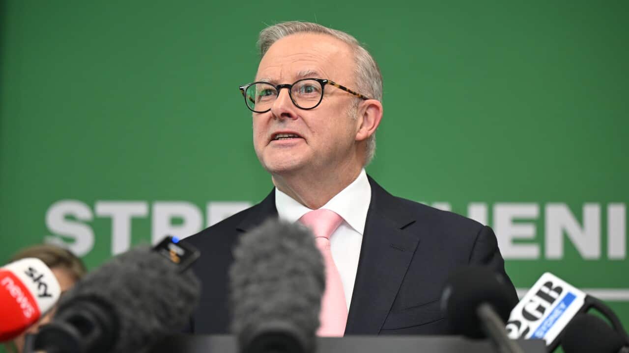Anthony Albanese speaks at a lectern.