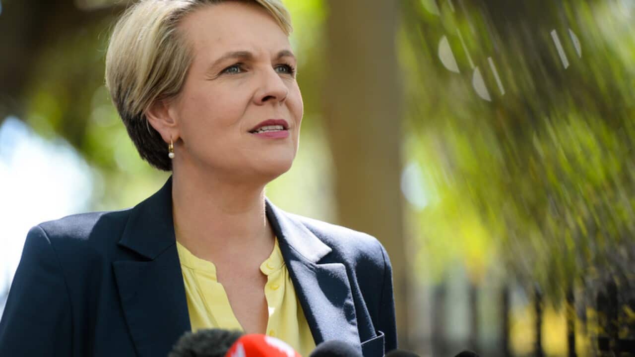 Deputy Opposition Leader Tanya Plibersek