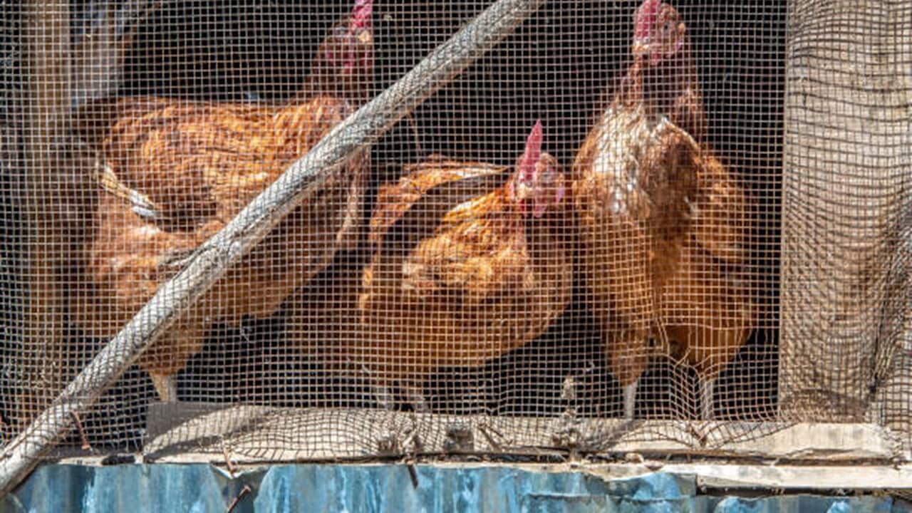 Image for read more article 'READ MORE'