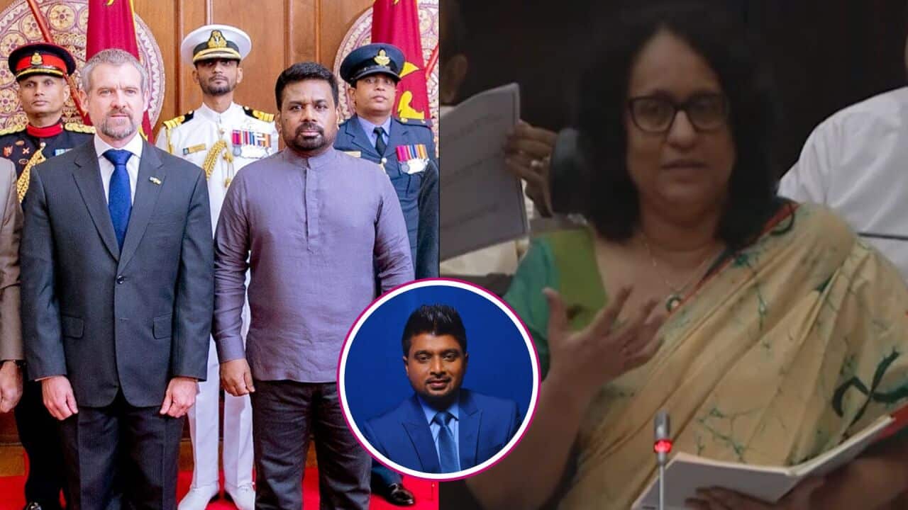 Homeland Highlights (1).jpg