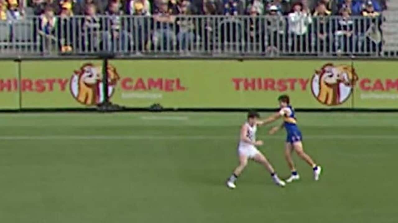 AFL Tribunal Explainer