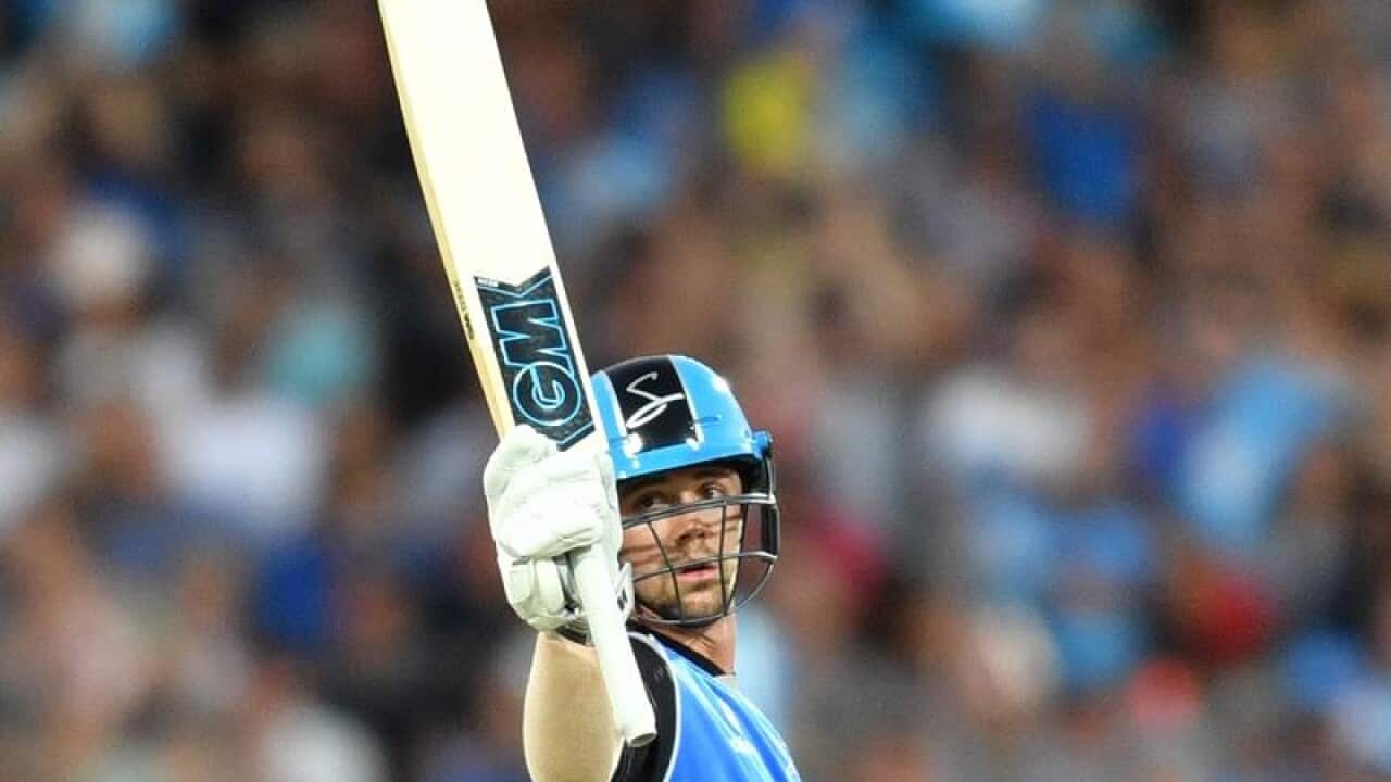 Adelaide Strikers batsman Travis Head