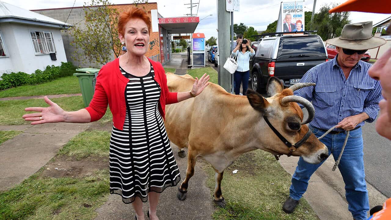Pauline Hanson visits her old fish