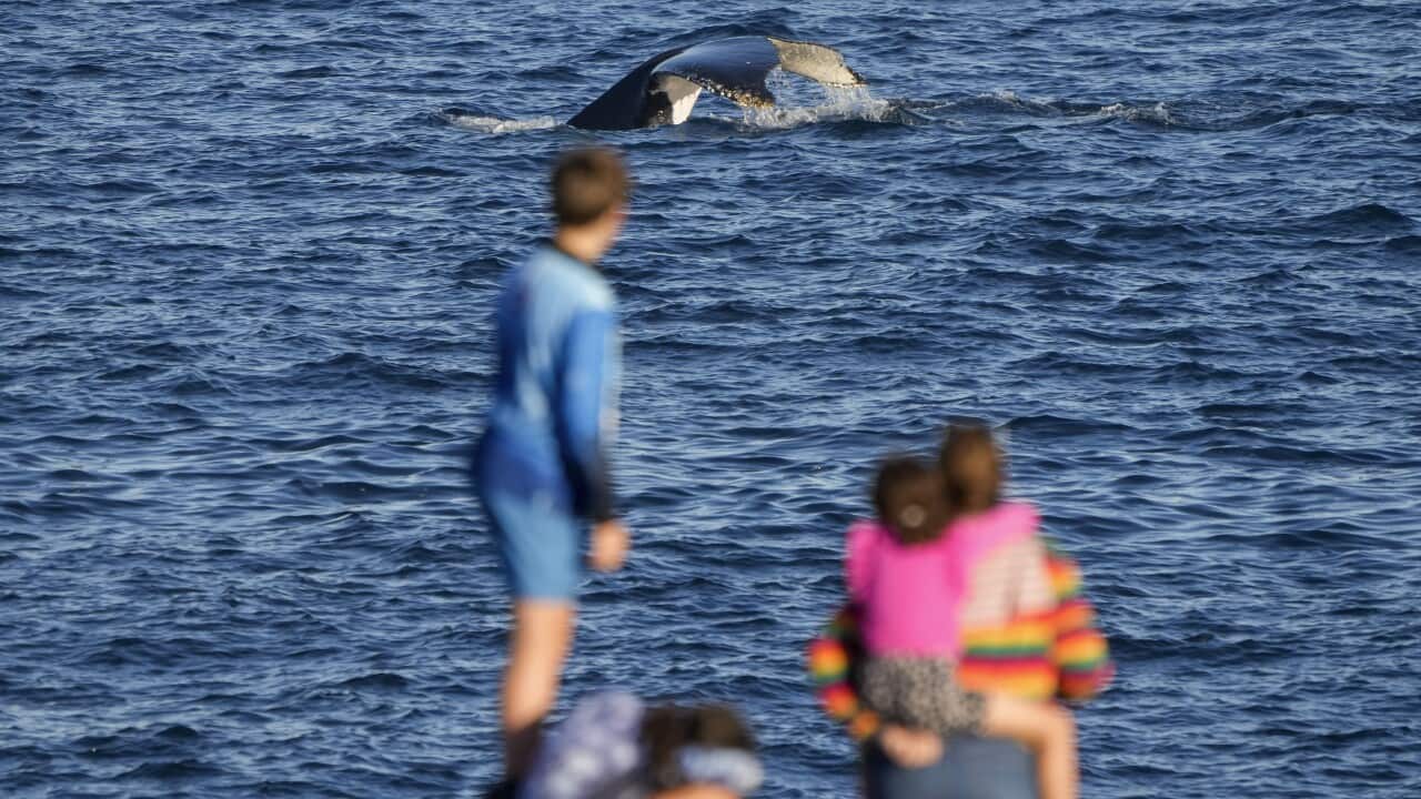 Australia Daily Life