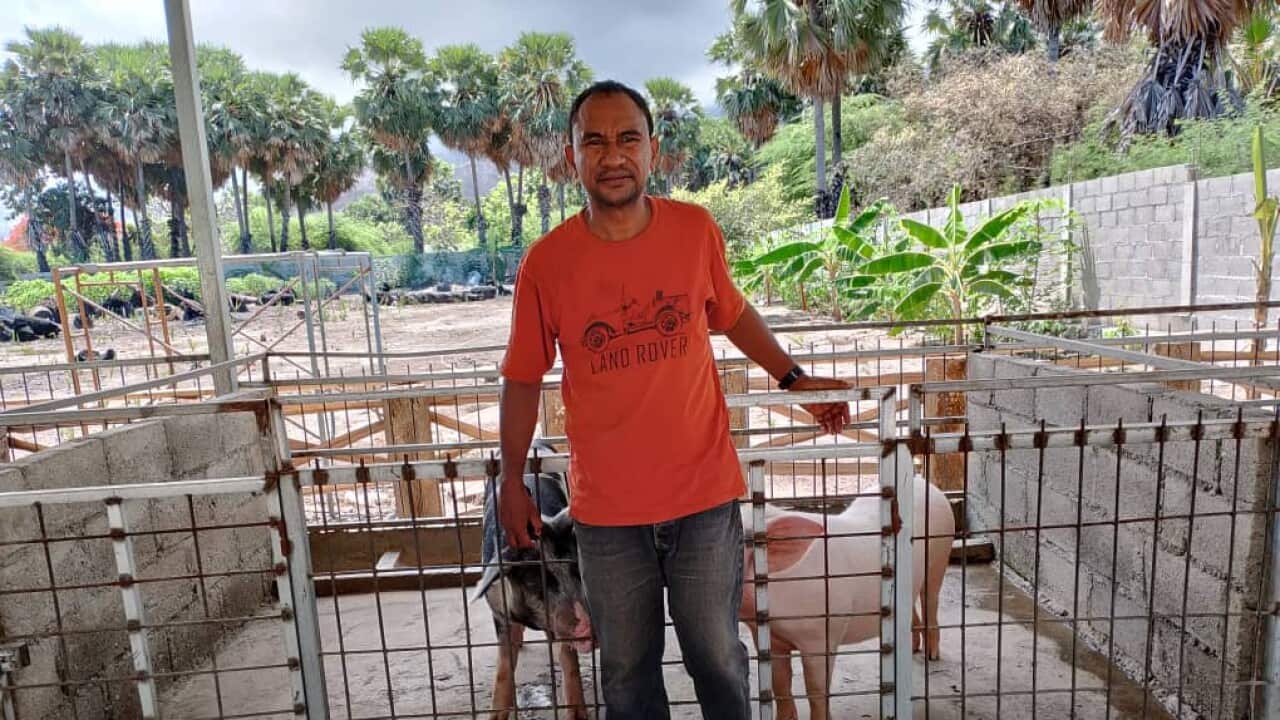 Ismenio Martins Da Silva, empresario timoroan ne'ebe hanesam ema premeiru ne'ebe hahu produsaun enerjia biogas ho fahi nia ten